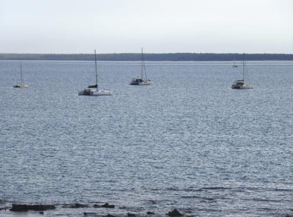 A short drive: Boats at Darwin Sailing Club