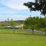 Brian Chong Wee Park Views to Darwin city