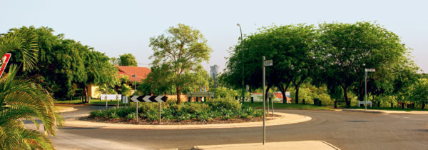 Overlooking Brian Chong Wee Park